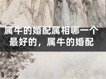 属牛的婚配属相哪一个最好的，属牛的婚配