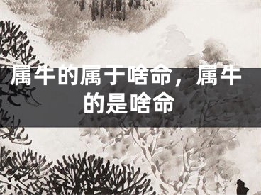 属牛的属于啥命，属牛的是啥命