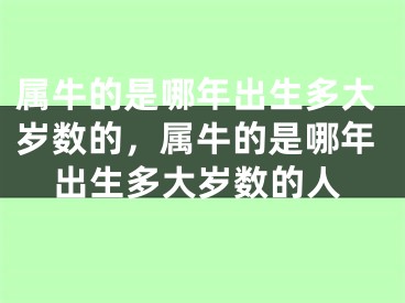 属牛的是哪年出生多大岁数的，属牛的是哪年出生多大岁数的人