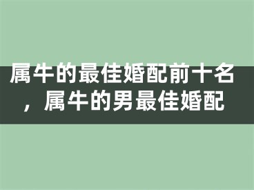 属牛的最佳婚配前十名,属牛的男最佳婚配