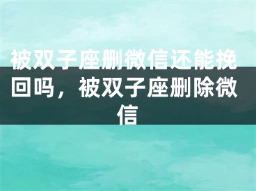 被双子座删微信还能挽回吗,被双子座删除微信
