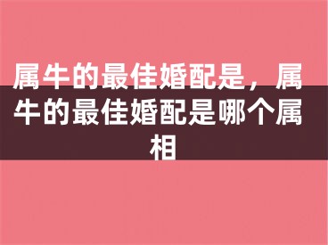 属牛的最佳婚配是，属牛的最佳婚配是哪个属相
