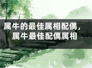 属牛的最佳属相配偶，属牛最佳配偶属相
