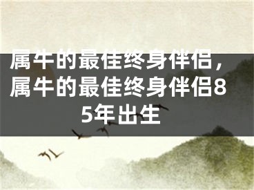 属牛的最佳终身伴侣，属牛的最佳终身伴侣85年出生