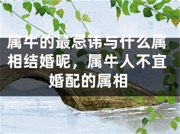 属牛的最忌讳与什么属相结婚呢，属牛人不宜婚配的属相