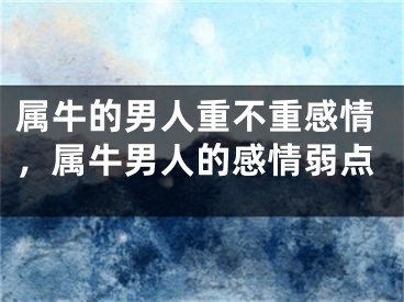 属牛的男人重不重感情，属牛男人的感情弱点
