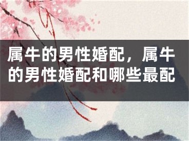 属牛的男性婚配，属牛的男性婚配和哪些最配