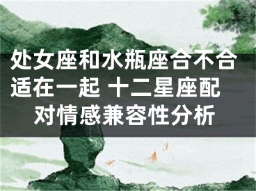 处女座和水瓶座合不合适在一起 十二星座配对情感兼容性分析
