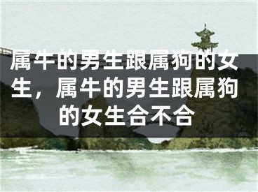 属牛的男生跟属狗的女生，属牛的男生跟属狗的女生合不合
