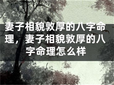 妻子相貌敦厚的八字命理，妻子相貌敦厚的八字命理怎么样