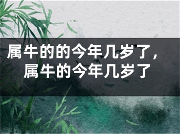 属牛的的今年几岁了，属牛的今年几岁了