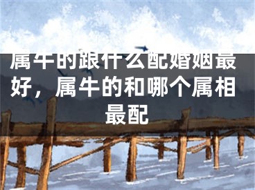 属牛的跟什么配婚姻最好，属牛的和哪个属相最配
