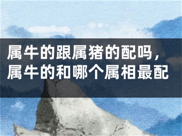 属牛的跟属猪的配吗，属牛的和哪个属相最配