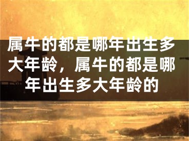 属牛的都是哪年出生多大年龄，属牛的都是哪年出生多大年龄的