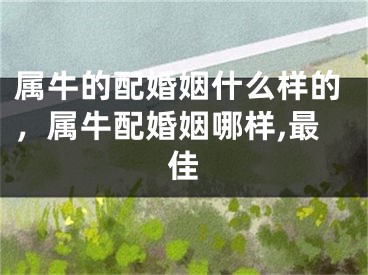 属牛的配婚姻什么样的，属牛配婚姻哪样,最佳