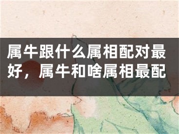 属牛跟什么属相配对最好，属牛和啥属相最配