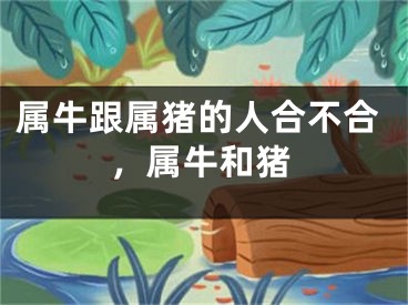 属牛跟属猪的人合不合，属牛和猪
