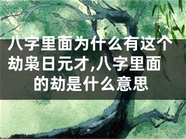 八字里面为什么有这个劫枭日元才,八字里面的劫是什么意思