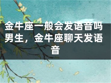 金牛座一般会发语音吗男生,金牛座聊天发语音