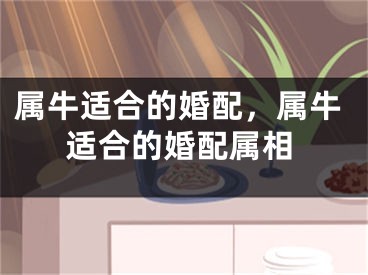 属牛适合的婚配，属牛适合的婚配属相