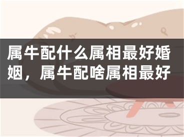 属牛配什么属相最好婚姻，属牛配啥属相最好