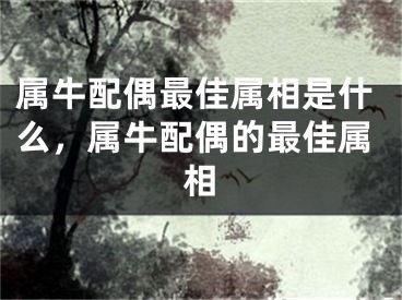 属牛配偶最佳属相是什么，属牛配偶的最佳属相