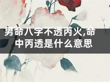 男命八字不透丙火,命中丙透是什么意思