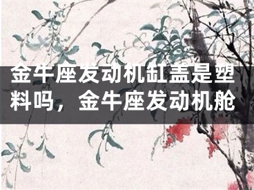 金牛座发动机缸盖是塑料吗，金牛座发动机舱