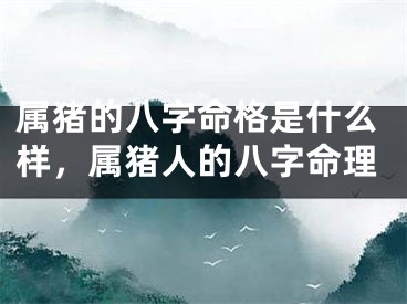 属猪的八字命格是什么样，属猪人的八字命理