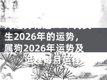 属狗2026年属狗每月运势和运70年狗女生2026年的运势，属狗2026年运势及运程每月运程
