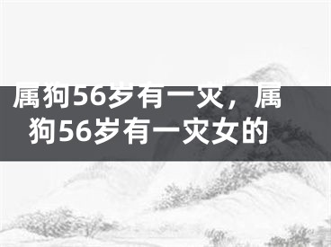 属狗56岁有一灾,属狗56岁有一灾女的