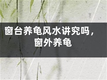窗台养龟风水讲究吗，窗外养龟