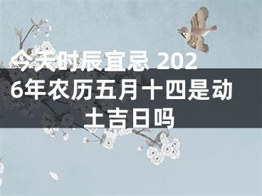今天时辰宜忌 2026年农历五月十四是动土吉日吗