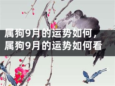 属狗9月的运势如何，属狗9月的运势如何看