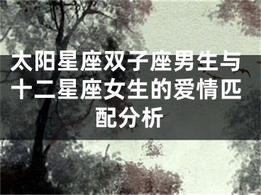 太阳星座双子座男生与十二星座女生的爱情匹配分析