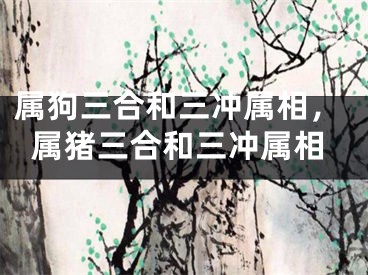 属狗三合和三冲属相，属猪三合和三冲属相