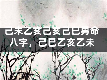 己未乙亥己亥己巳男命八字,己巳乙亥乙未