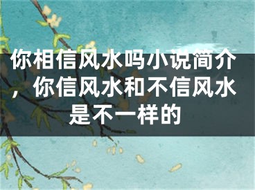 你相信风水吗小说简介，你信风水和不信风水是不一样的