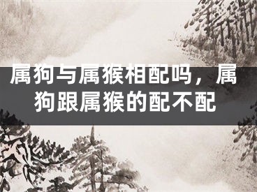 属狗与属猴相配吗，属狗跟属猴的配不配