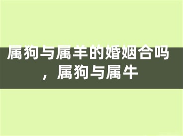 属狗与属羊的婚姻合吗，属狗与属牛