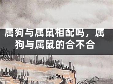 属狗与属鼠相配吗，属狗与属鼠的合不合