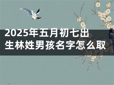 2025年五月初七出生林姓男孩名字怎么取