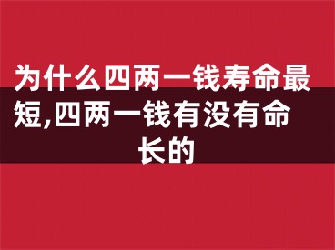 为什么四两一钱寿命最短,四两一钱有没有命长的