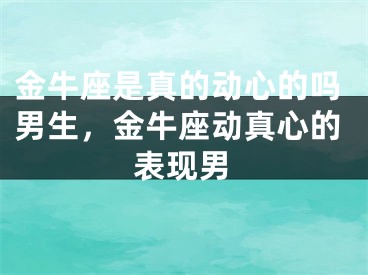 金牛座是真的动心的吗男生,金牛座动真心的表现男