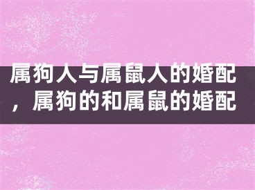 属狗人与属鼠人的婚配，属狗的和属鼠的婚配