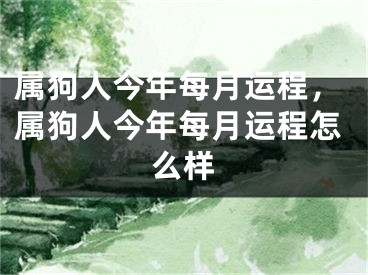 属狗人今年每月运程，属狗人今年每月运程怎么样