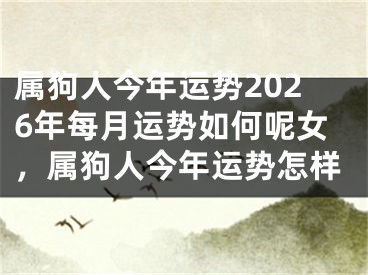 属狗人今年运势2026年每月运势如何呢女，属狗人今年运势怎样