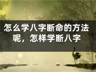 怎么学八字断命的方法呢，怎样学断八字