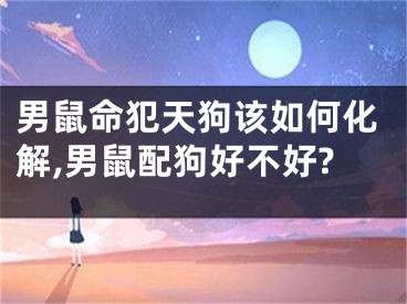 男鼠命犯天狗该如何化解,男鼠配狗好不好?