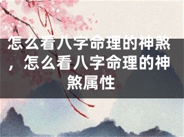 怎么看八字命理的神煞，怎么看八字命理的神煞属性